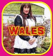 Exposed Welsh sissies